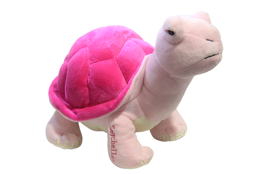 Aldabra Tortoise soft toy - "Pink"