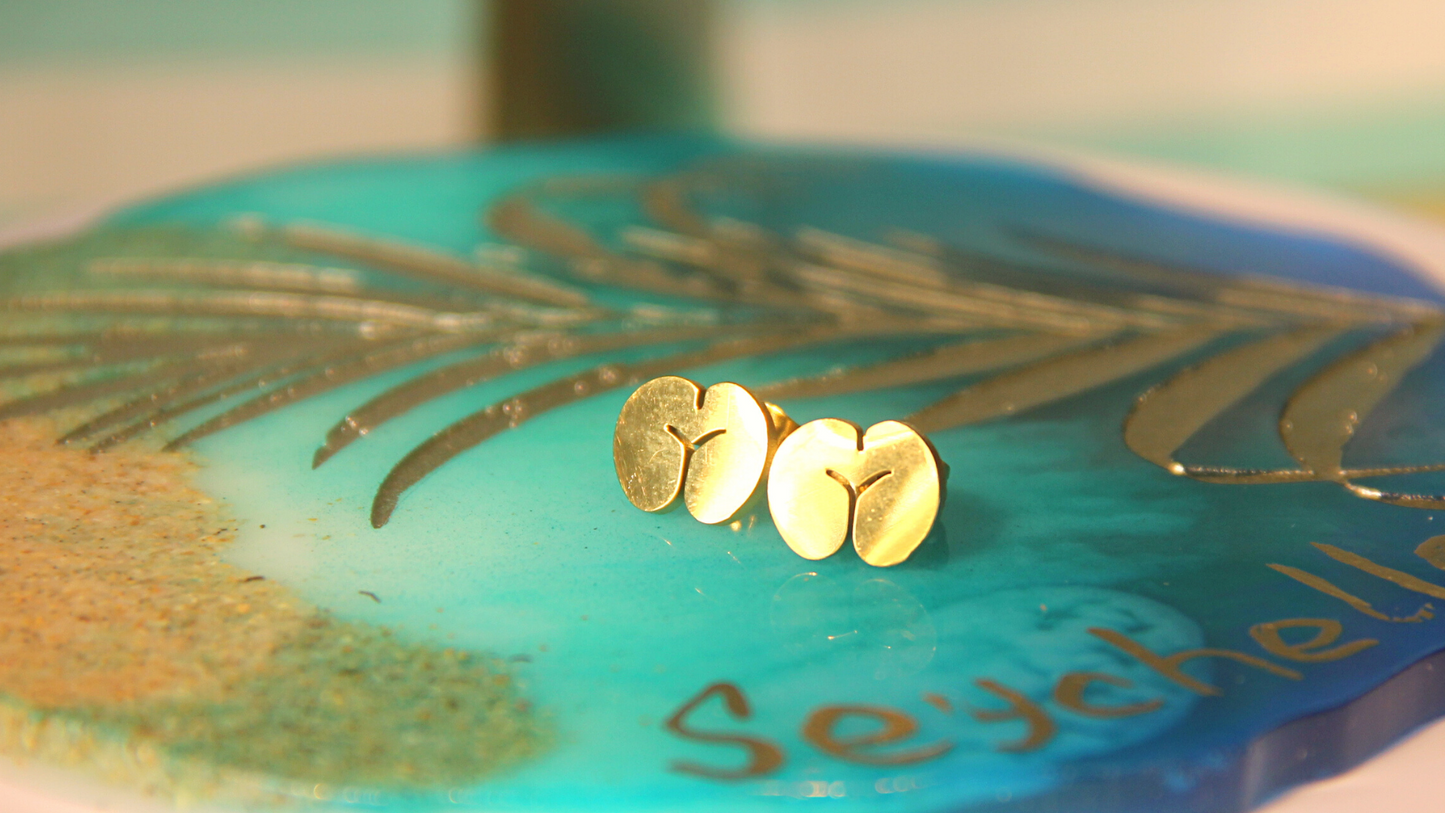 Coco de Mer earring studs - "Gold"