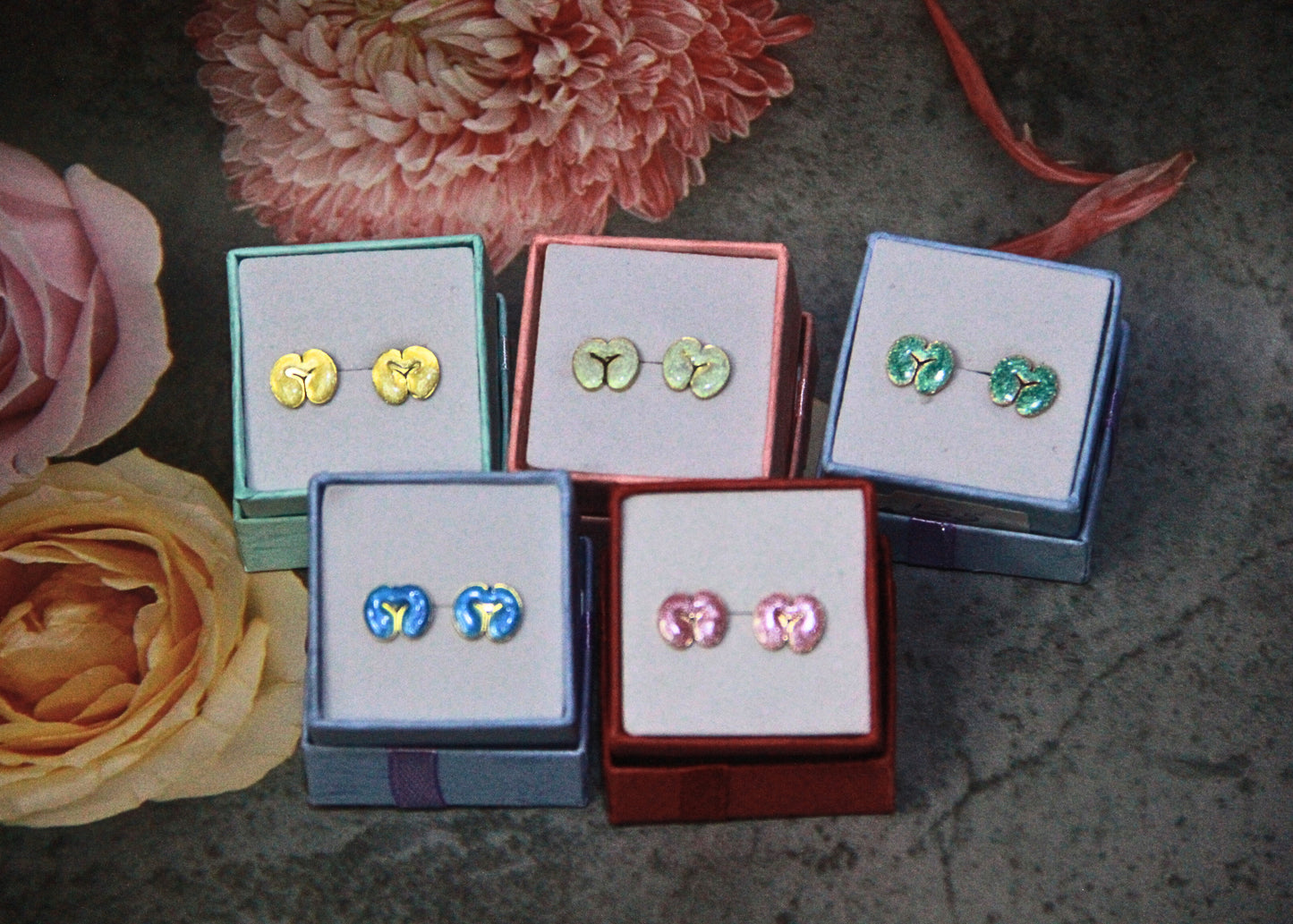 Colored Coco de Mer earring studs