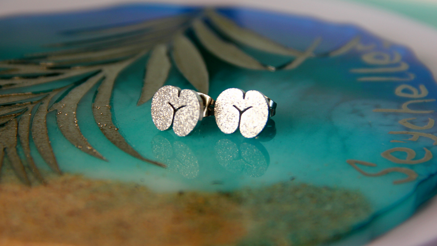 Coco de Mer earring studs (frosted) - "Silver"